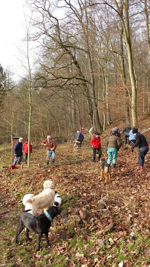 Einsatz im Ilfelder Ahornpark