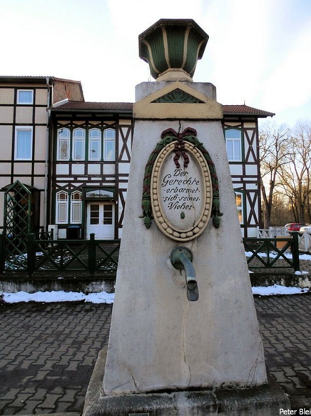 Mit dem Teleobjektiv im Stadtpark