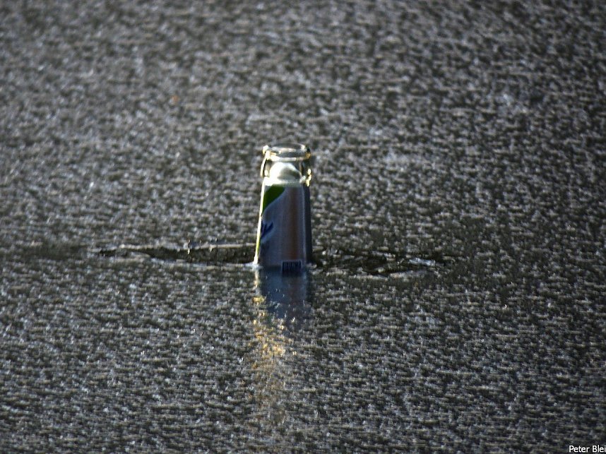 Mit dem Teleobjektiv im Stadtpark