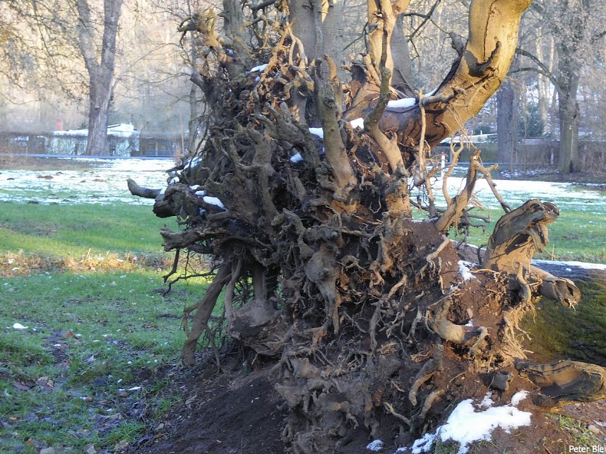 Mit dem Teleobjektiv im Stadtpark