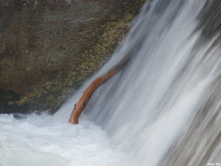 Mit dem Teleobjektiv im Stadtpark
