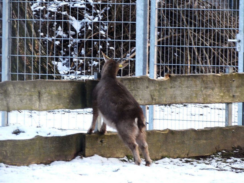 Mit dem Teleobjektiv im Stadtpark