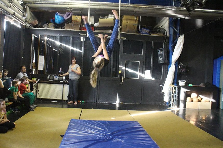 Zappelini Sneak Peak