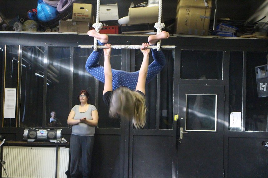 Zappelini Sneak Peak