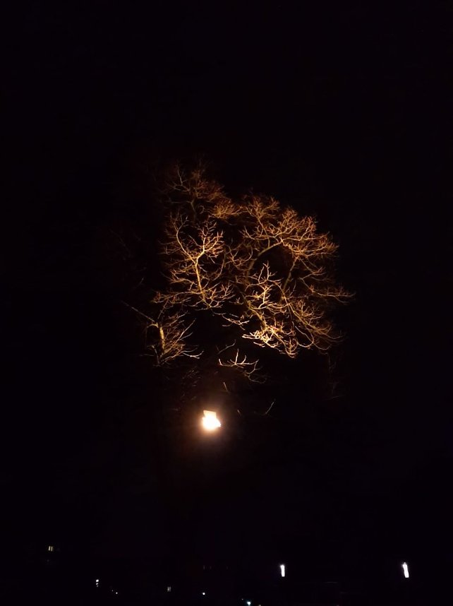 Nordhausen bei Nacht