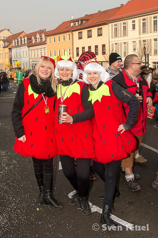 Rosenmontag in Sondershausen