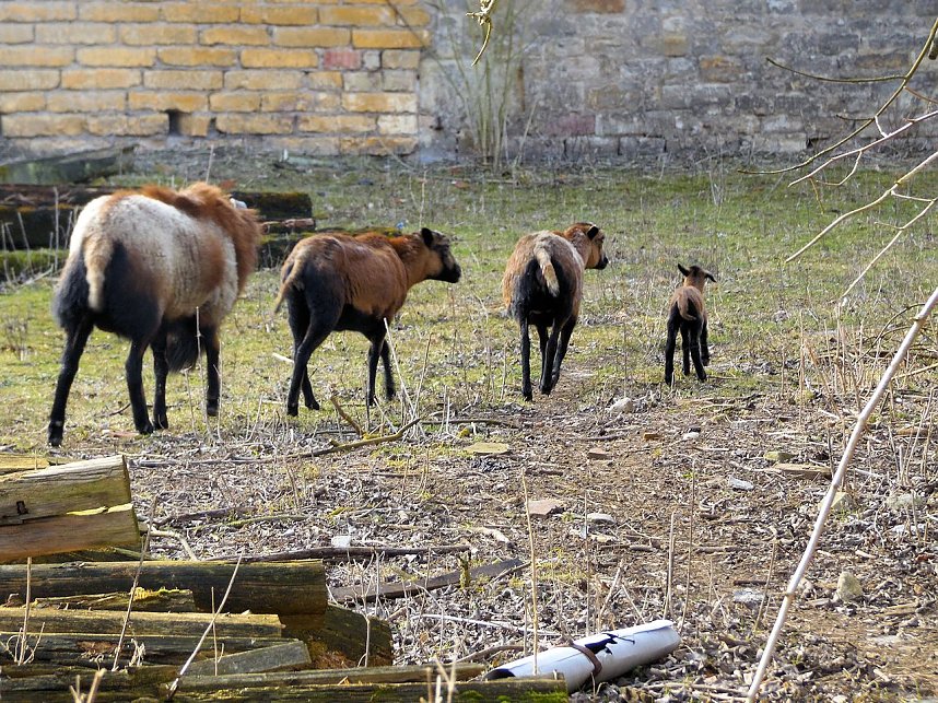 Schloss bei Beyernaumburg