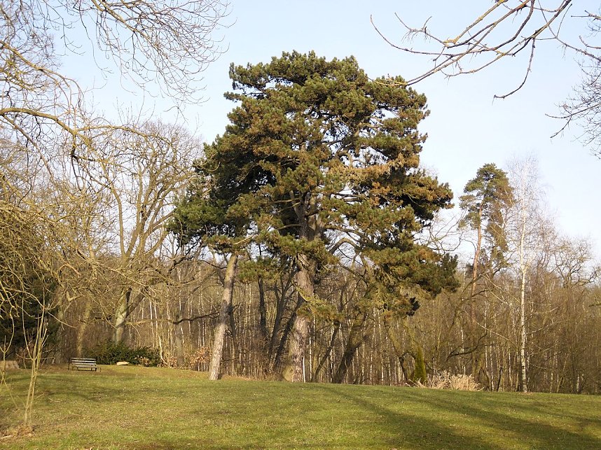 Schloss bei Beyernaumburg