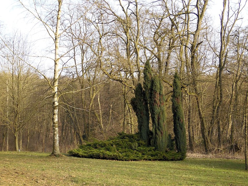 Schloss bei Beyernaumburg