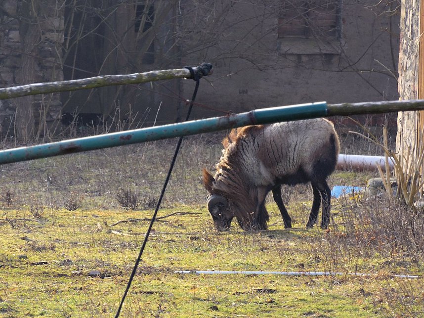 Schloss bei Beyernaumburg
