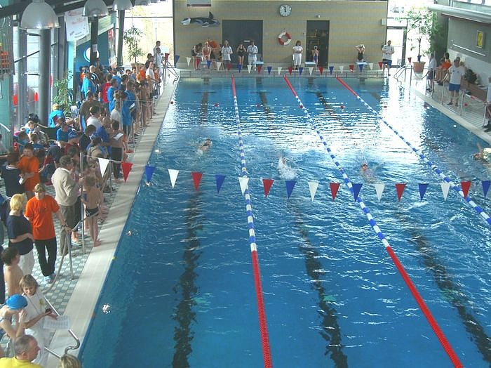 Um die Wette geschwommen