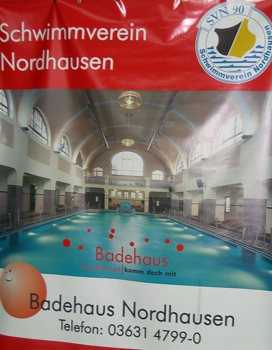 Um die Wette geschwommen