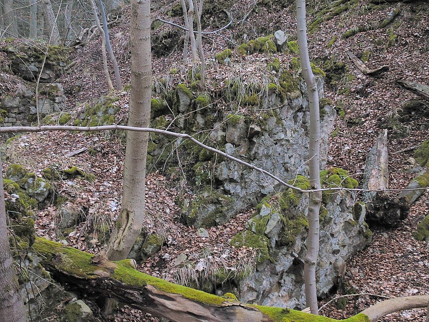 Rund um Friedrichsbrunn