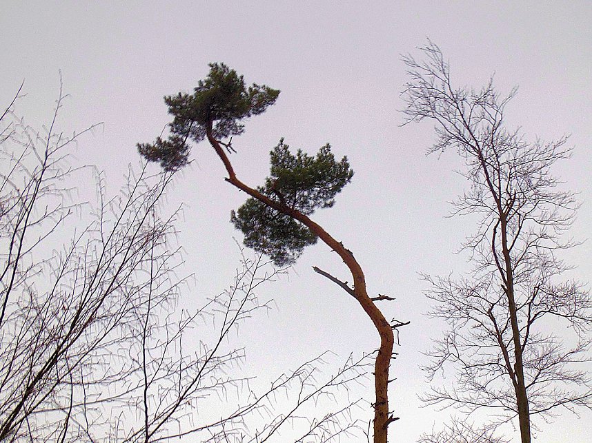 Rund um Friedrichsbrunn