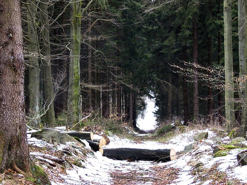 Die Teufelsm&uuml;hlen - der Name wurde den Harzer Mythen entlehnt