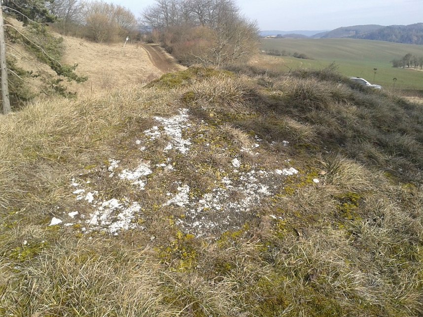 Der Nordh&auml;user Kreisverband des BUND beim Arbeitseinsatz auf den Pfaffenk&ouml;pfen