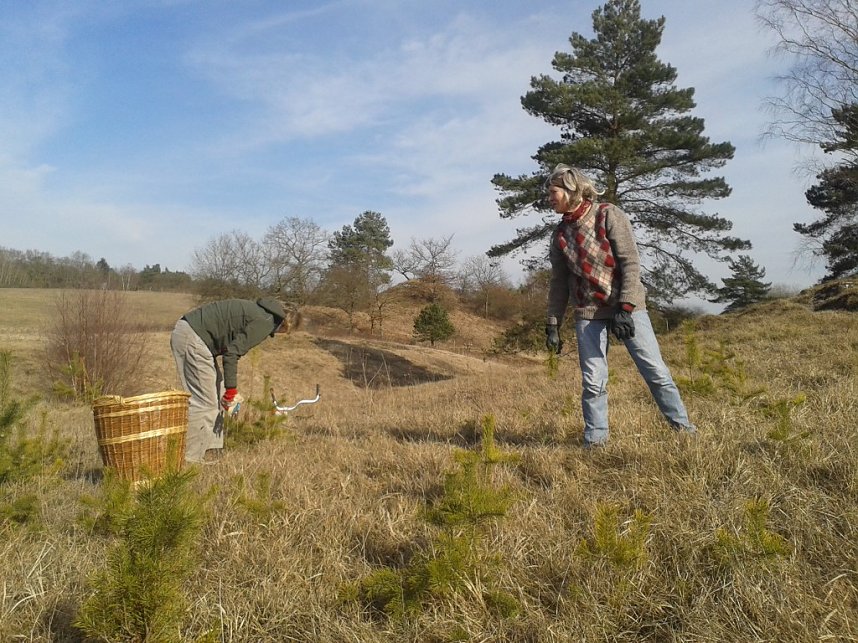 Der Nordh&auml;user Kreisverband des BUND beim Arbeitseinsatz auf den Pfaffenk&ouml;pfen