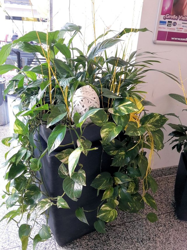 Fr&uuml;hlingsschmuck und Fr&uuml;hlingsmode in der S&uuml;dharzgalerie