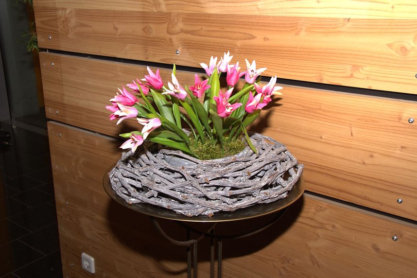 Offene T&uuml;ren im St. Jakob Haus