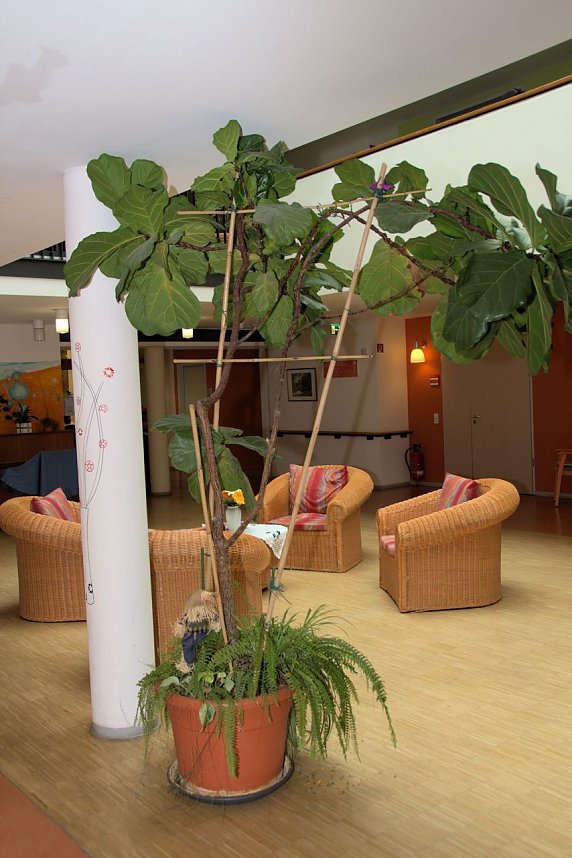 Offene T&uuml;ren im St. Jakob Haus