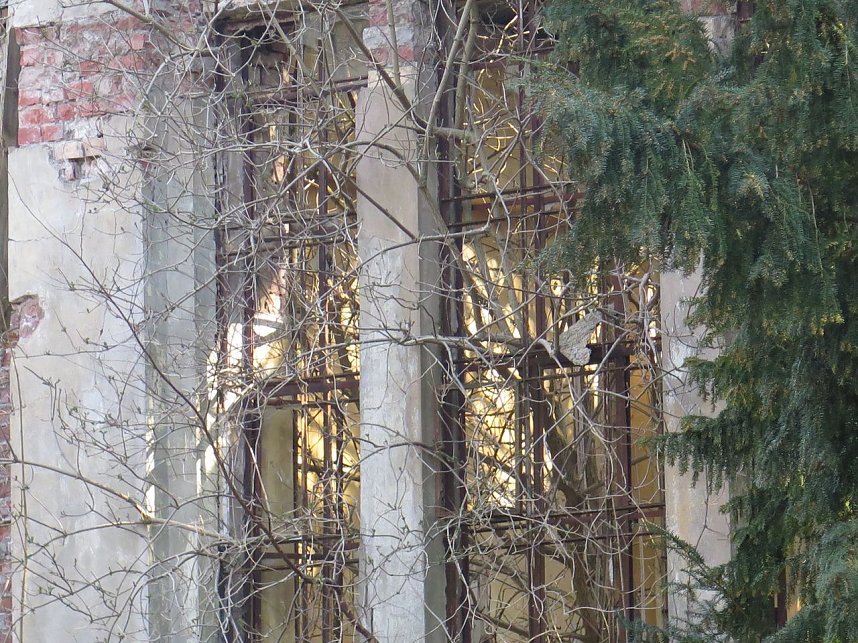 Das Areal des Lindenhofes