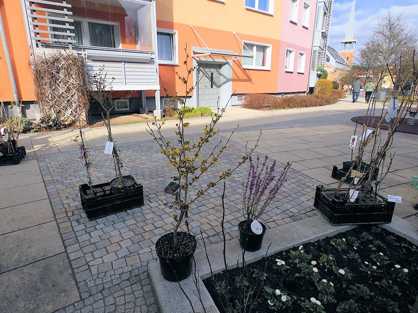 Ostermarkt in Sondershausen