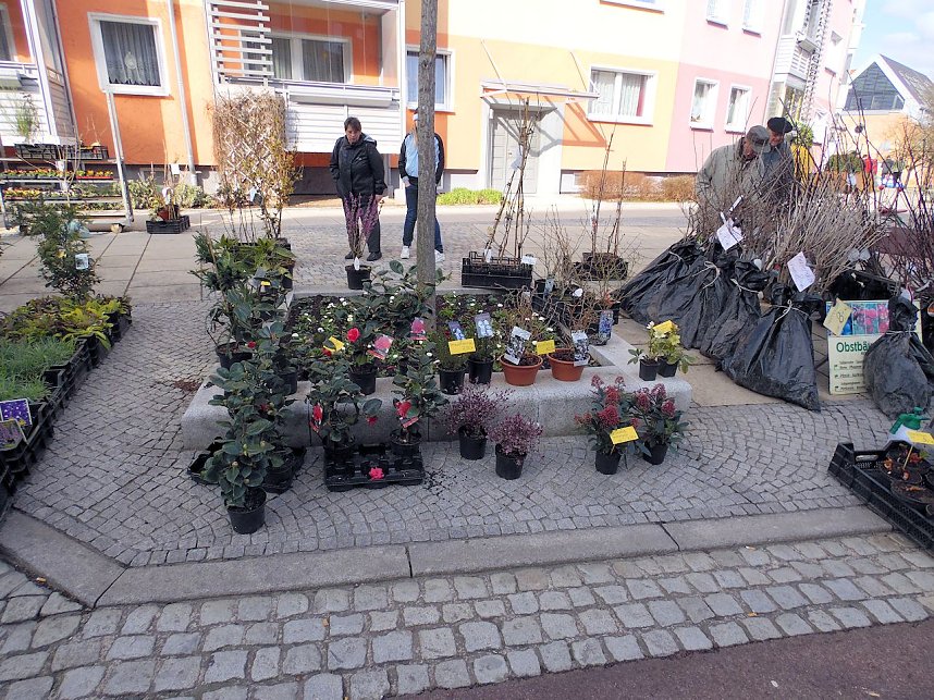 Ostermarkt in Sondershausen