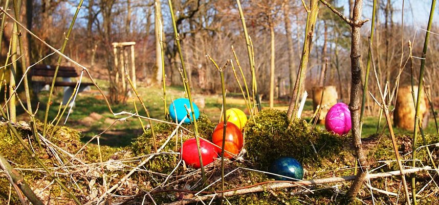 Ostereier suchen im Ilfelder Ahornpark