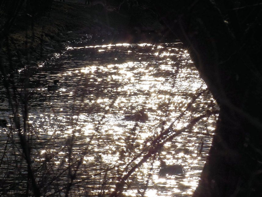 "Farbtupfer" aus Sondershausen