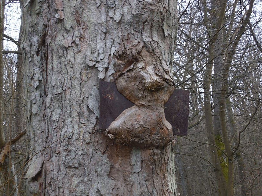 Peter Blei war mit der Kamera zwischen M&auml;gdesprung und Selketal unterwegs