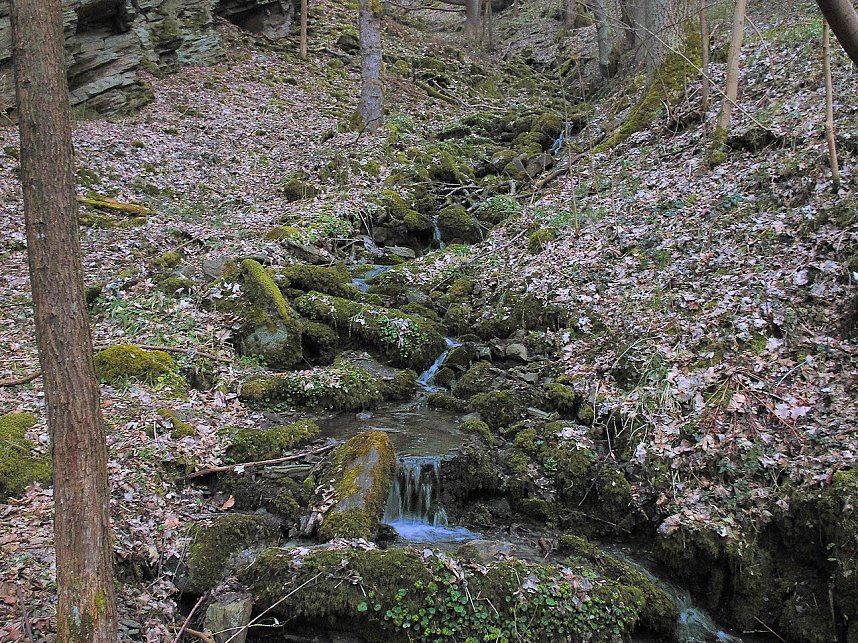 Peter Blei war mit der Kamera zwischen M&auml;gdesprung und Selketal unterwegs