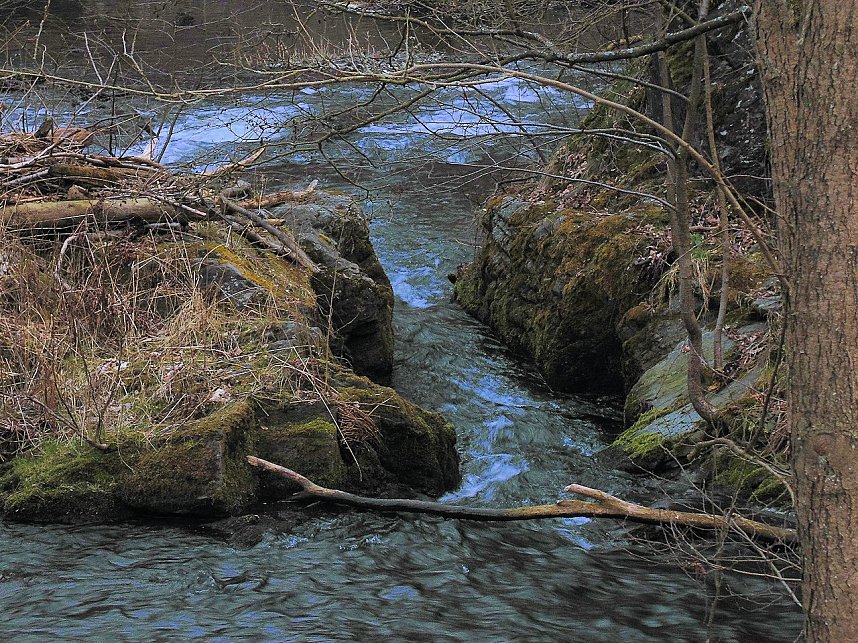Peter Blei war mit der Kamera zwischen M&auml;gdesprung und Selketal unterwegs