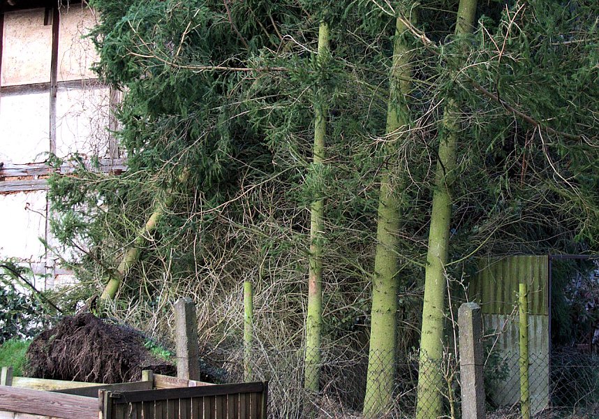 Sturmsch&auml;den in Liebenrode