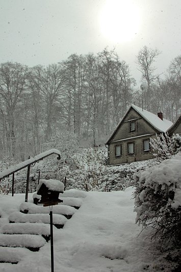 Christiane Wiesemann