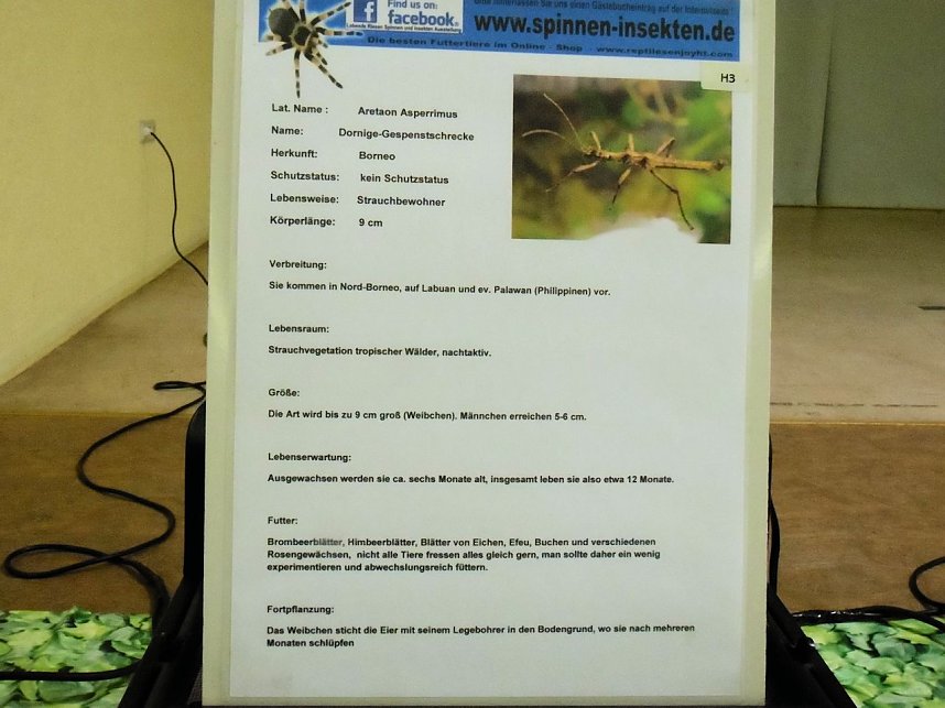 Insekten und mehr in Sundhausen