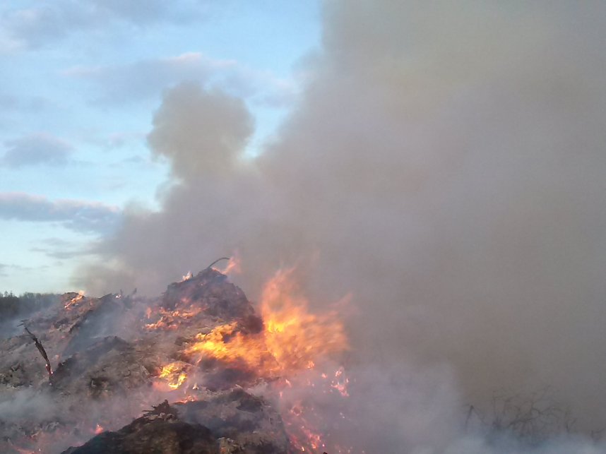 Osterfeuer in Neustadt