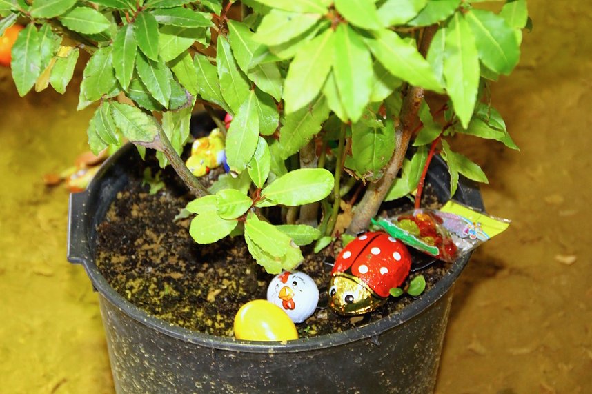 18. Osterturnier in Immenrode