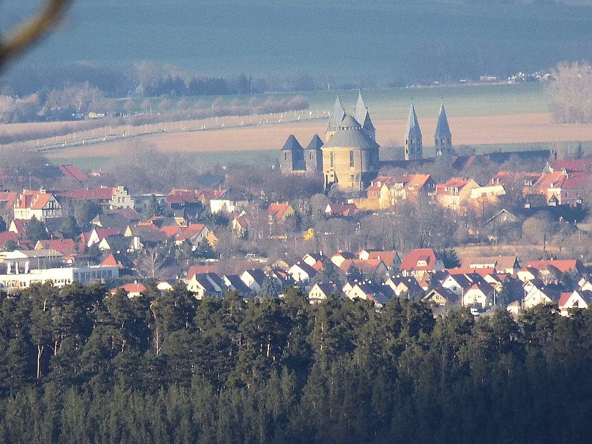 Doppeltes Pech beim Ziegenkopf