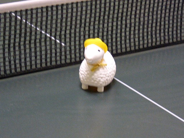 Unentschieden zum Saisonabschluss - Hydro Nordhausen gegen TTV Bleicherode