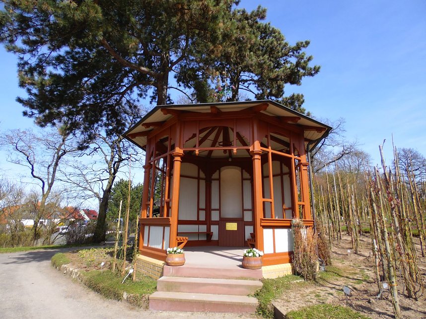 Saisoner&ouml;ffnung im Sangerh&auml;user Rosarium