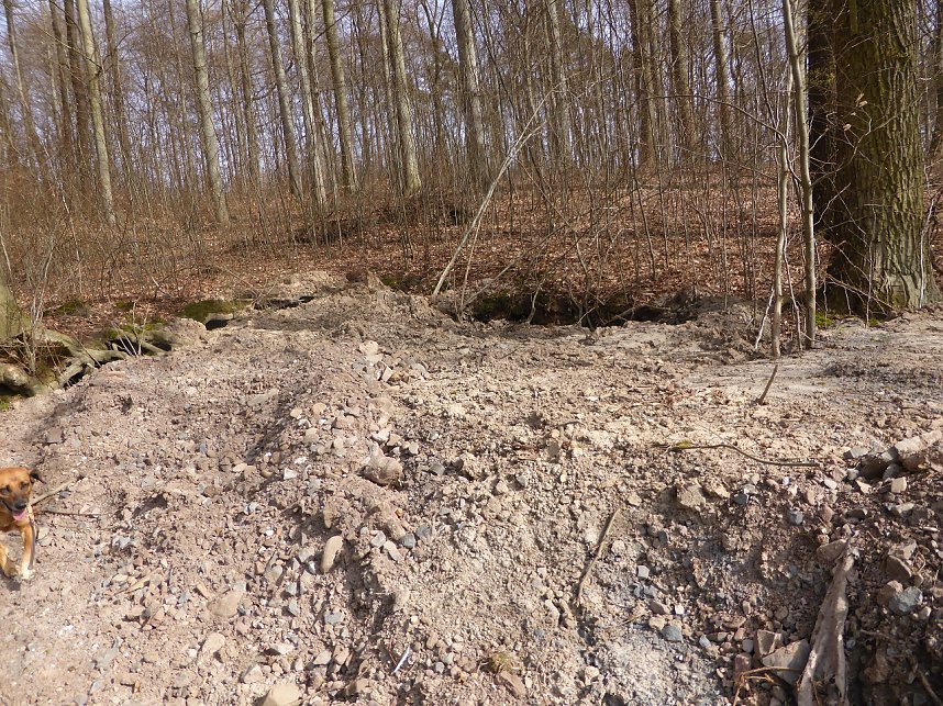 So sieht es im Naturschutzgebiet aus