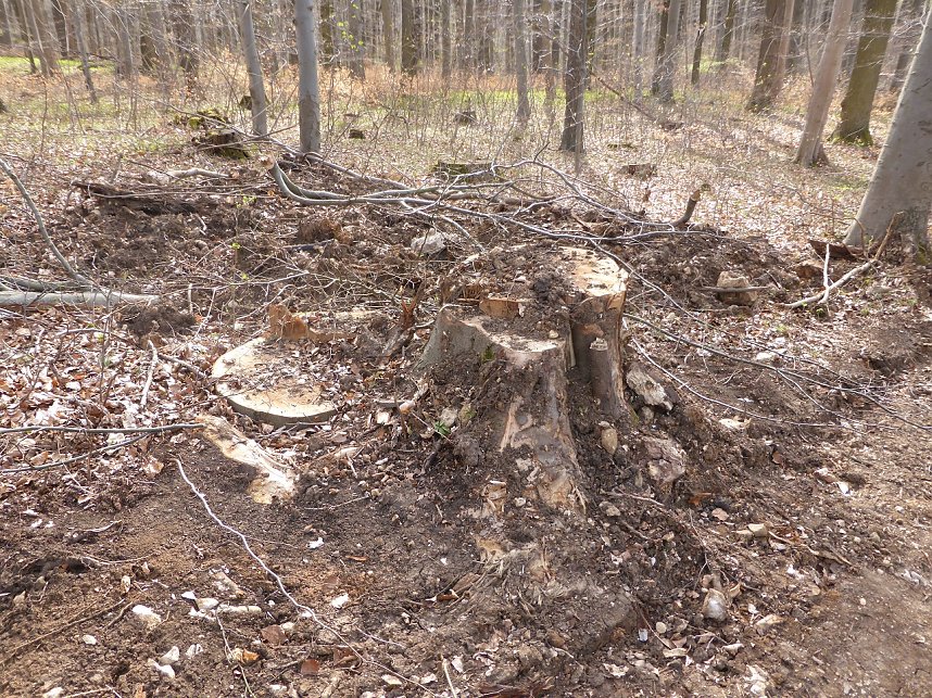 So sieht es im Naturschutzgebiet aus