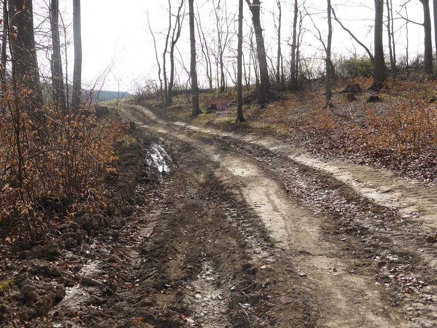 So sieht es im Naturschutzgebiet aus
