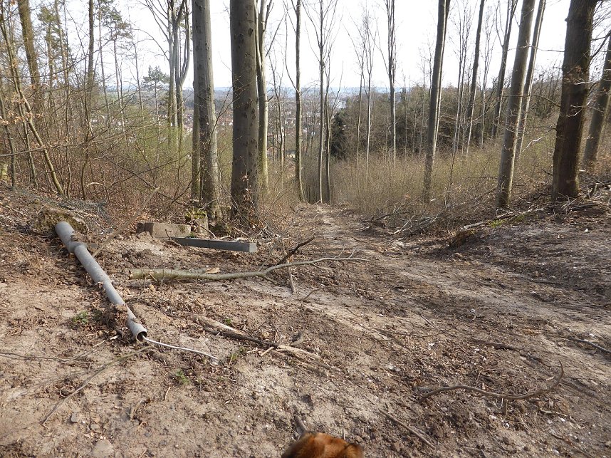 So sieht es im Naturschutzgebiet aus