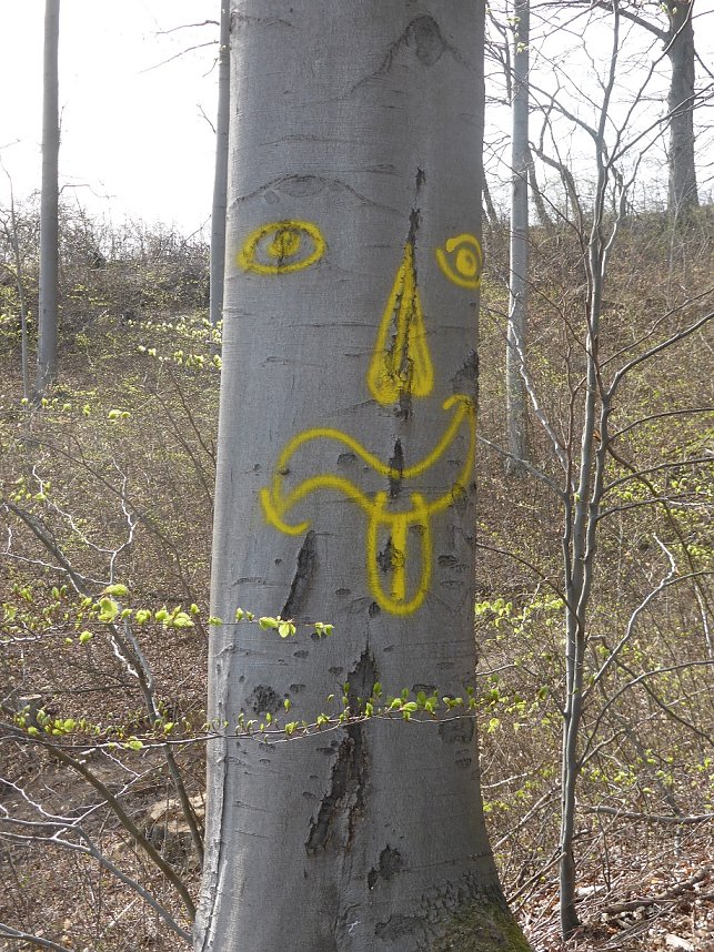 So sieht es im Naturschutzgebiet aus