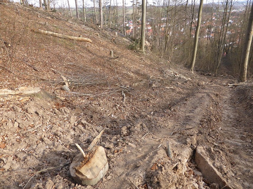 So sieht es im Naturschutzgebiet aus