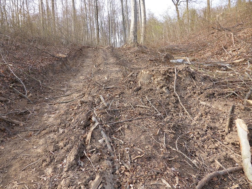 So sieht es im Naturschutzgebiet aus