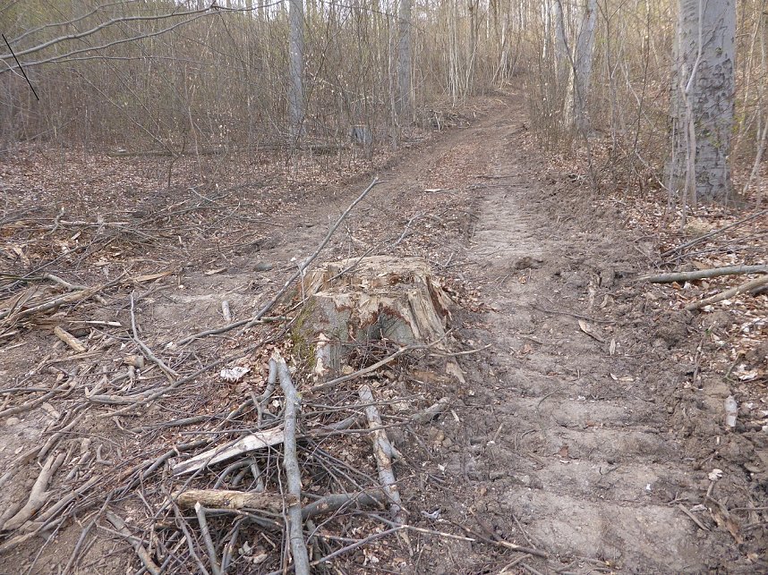 So sieht es im Naturschutzgebiet aus
