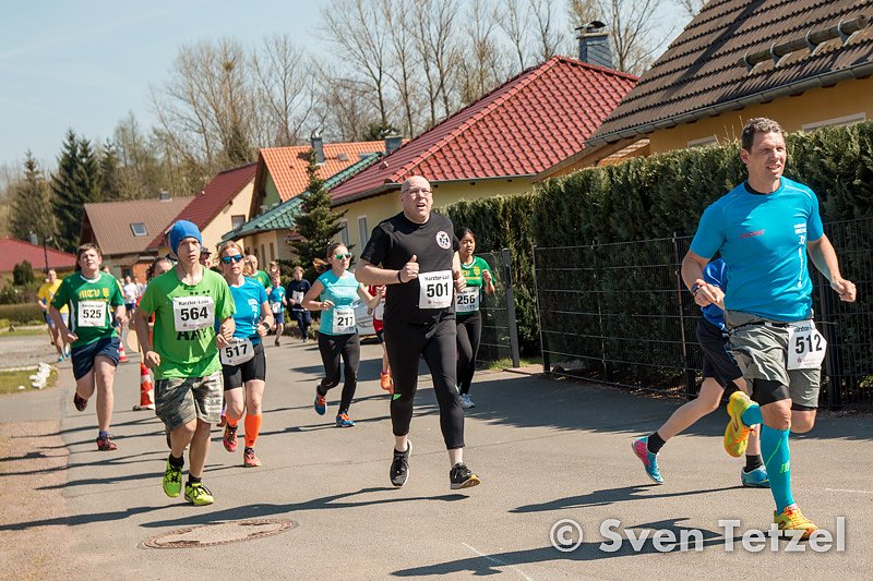 Voller Erfolg - 2. Harztor-Lauf