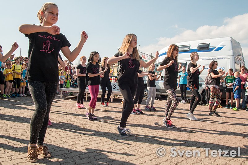 Voller Erfolg - 2. Harztor-Lauf